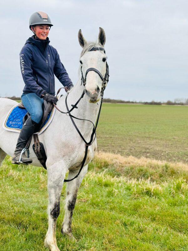 Princess (Irish Sport Horse)