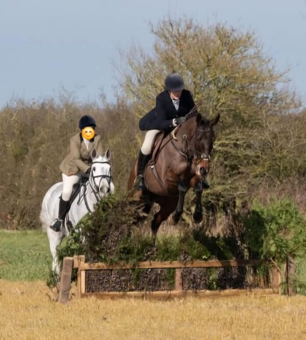 Rupert (Throughbred)